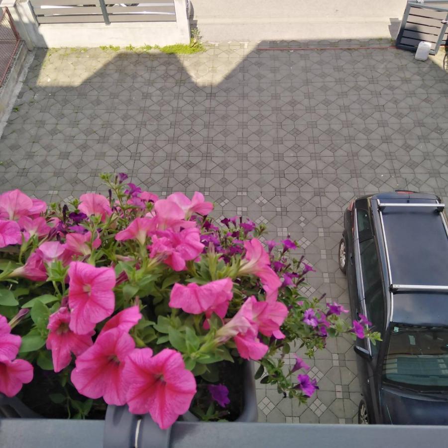 Apartman Zagreb , With Balcony And Free Parking Exteriör bild